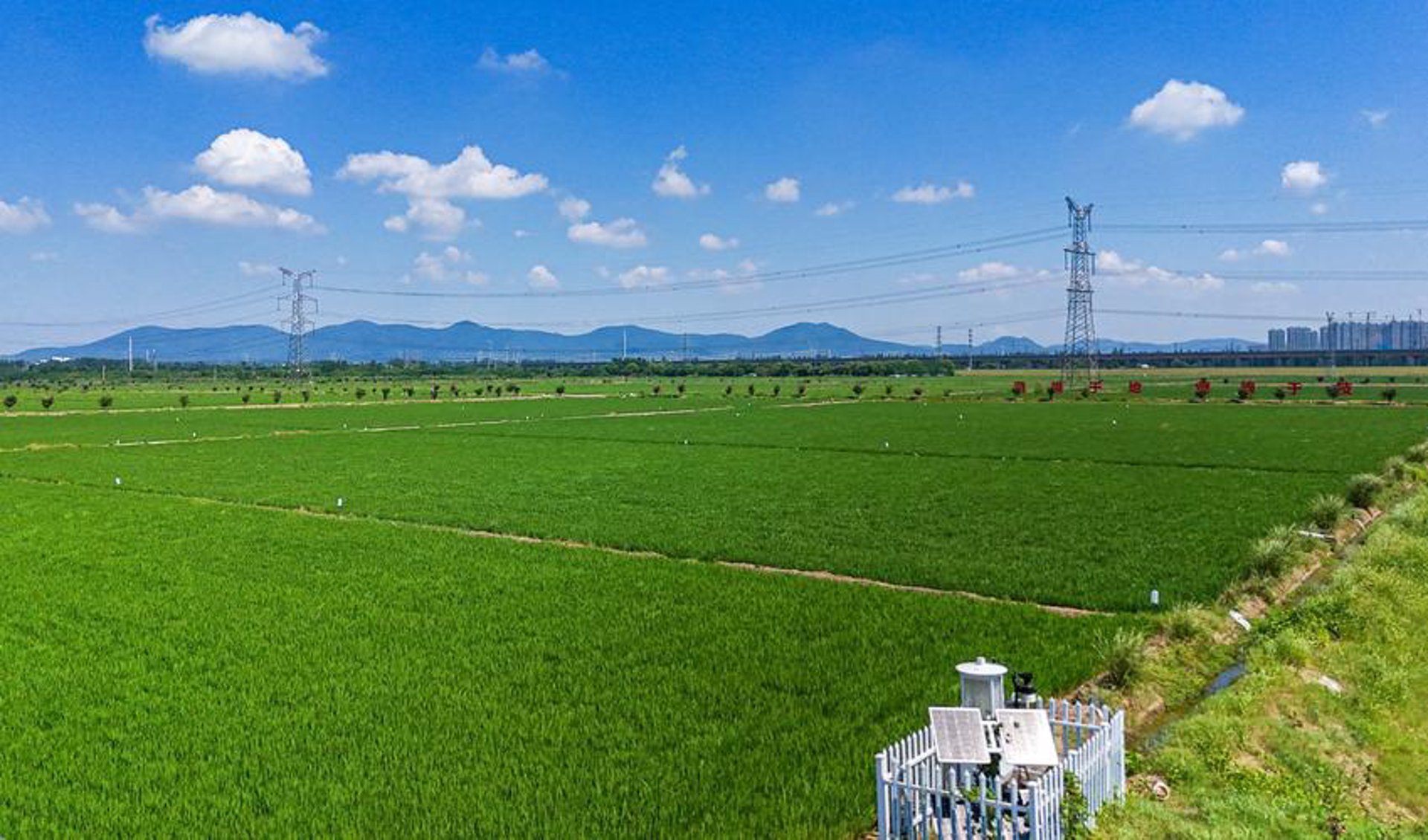 龙凤山水农业